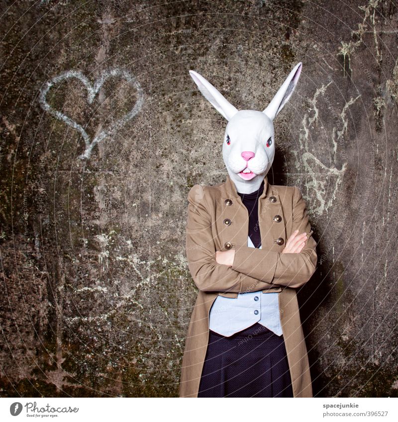 The lovely rabbit Mensch feminin Junge Frau Jugendliche Erwachsene 1 18-30 Jahre Künstler Ruine Mauer Wand Fassade Tier Wildtier außergewöhnlich gruselig
