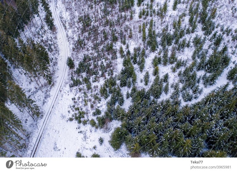 #Winterwald von Oben winter waldweg winterwaldweg schnee eis kalt wald von oben luftaufnahme