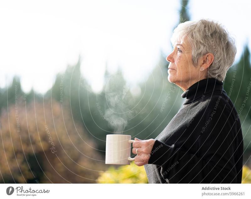 Senior Frau mit einer Tasse Kaffee in der Nähe von Hause Fenster Kaukasier älter Europäer heimwärts Lifestyle Porträt Menschen entspannend
