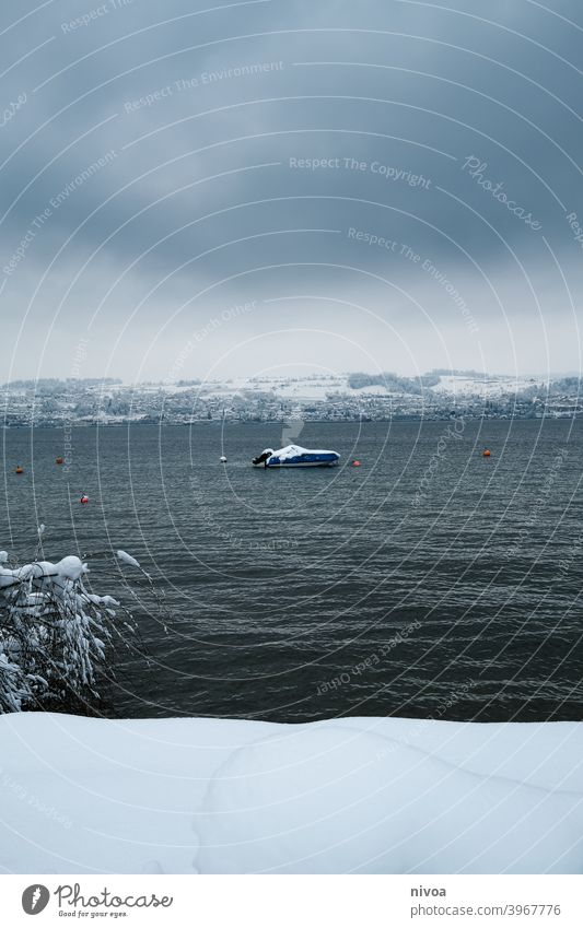 Boot auf dem Zürichsee im Winter zürichsee Schnee trüb Winterwetter eingeschneit Baum See Seeufer Berge u. Gebirge Landschaft männedorf Farbfoto Außenaufnahme