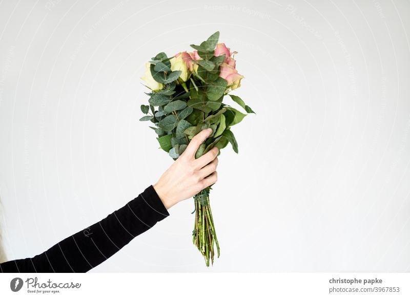frau hält Blumenstrauß in der hand Nahaufnahme Farbfoto schenken rosa Rose Valentinstag Muttertag Blüte Liebe Pflanze Geschenk Frau halten Hand überreichen
