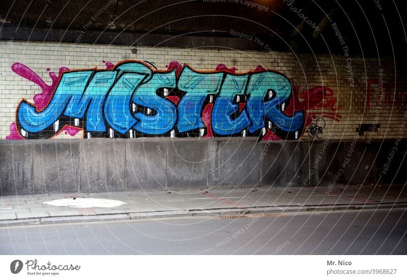 Vornamen I Mr. Graffiti Schrift sprayer gesprüht Wand schrift Text Typographie Schmiererei Straße Wege & Pfade Unterführung Straßenkunst mister Anrede Englisch