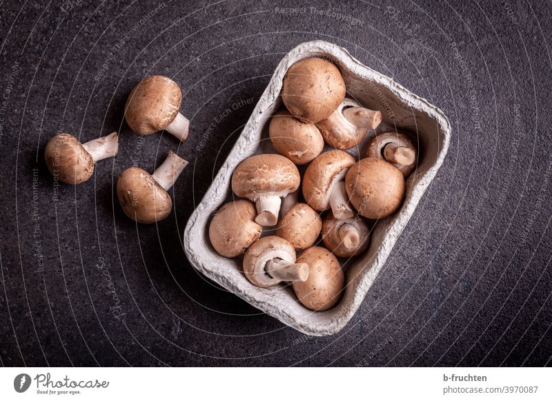 Braune Champignons in Kartonschale braun Küchentisch Platte Arbeitsplatte Schale Verpackung Pilze Lebensmittel Bioprodukte Vegetarische Ernährung lecker Gemüse