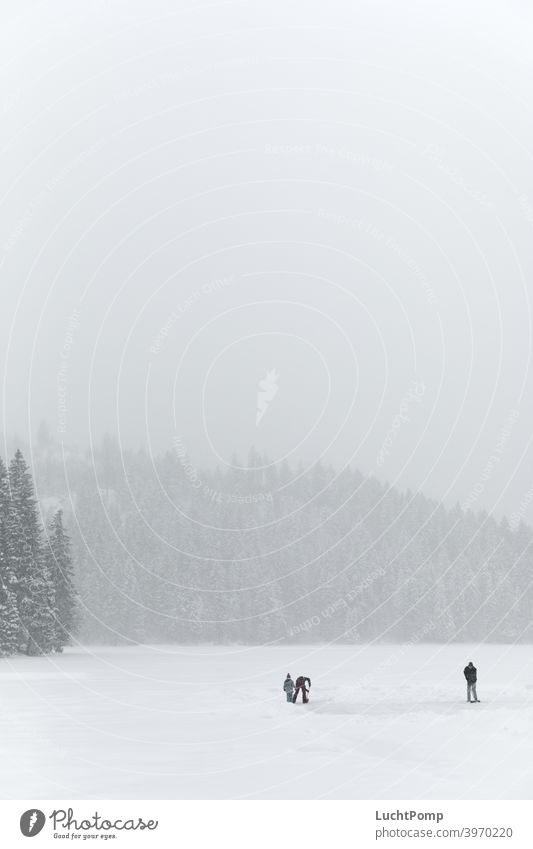 Drei Personen schaufeln Schnee auf zugefrorenem See verschneit Fichtenwald Wald Tannenwald verschneite Bäume eingeschneit Wanderung stille friedlich