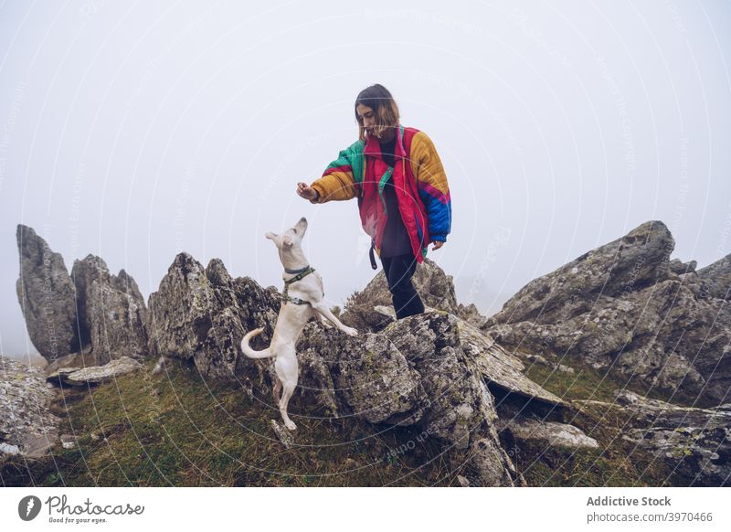 Frau füttert Hund in den Bergen Futter Leckerbissen Lebensmittel Berge u. Gebirge Besitzer Zusammensein Hochland Freund Haustier Tier Eckzahn heimisch Natur