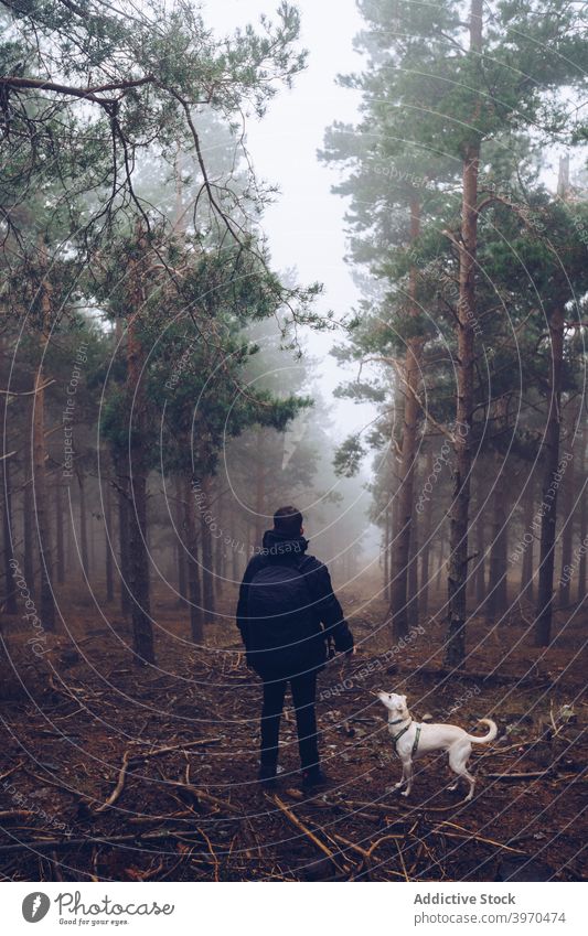 Mann spaziert im Herbst Wald mit Hund Natur Begleiter ruhig Wälder Eckzahn trist Nebel Tier Harmonie dumpf unkenntlich männlich gesichtslos bedeckt Weg