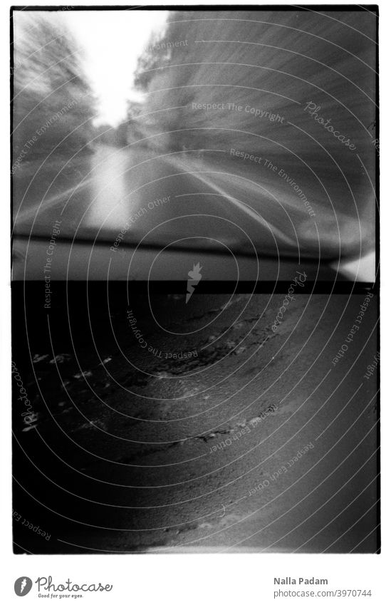 Bildduett 8 analog Analogfoto schwarzweiß Diana Mini Halbformat Straße Auto fahren Nässe nass Geschwindigkeit Bäume Bewegungsunschärfe Scheibe Spuren Wetter