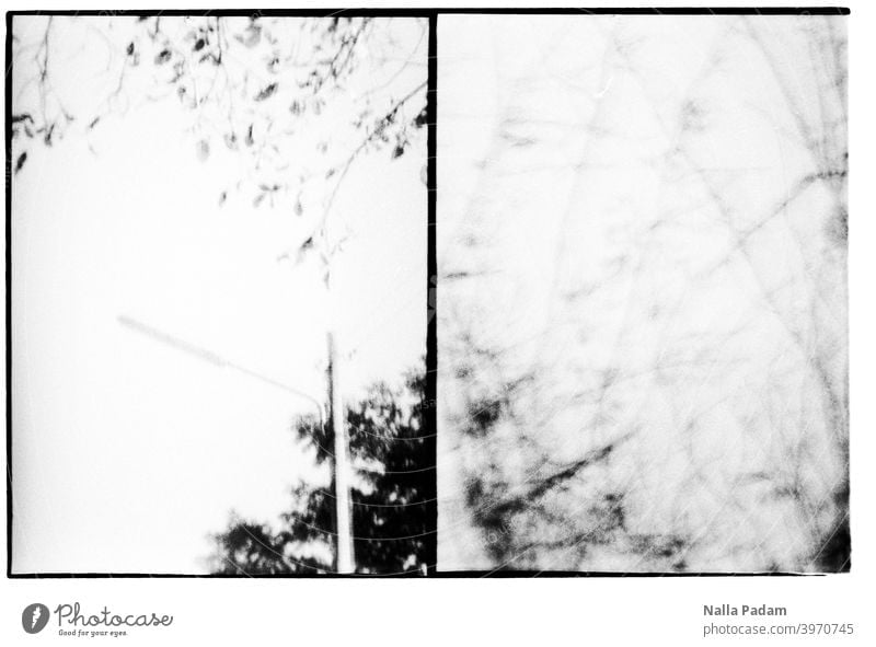 Stadtbildduett 5 analog Analogfoto schwarzweiß Halbformat Diana Mini Laterne Laternenmast Gestrüpp Geäst zwei Bilder Natur Außenaufnahme unscharf Unschärfe Baum