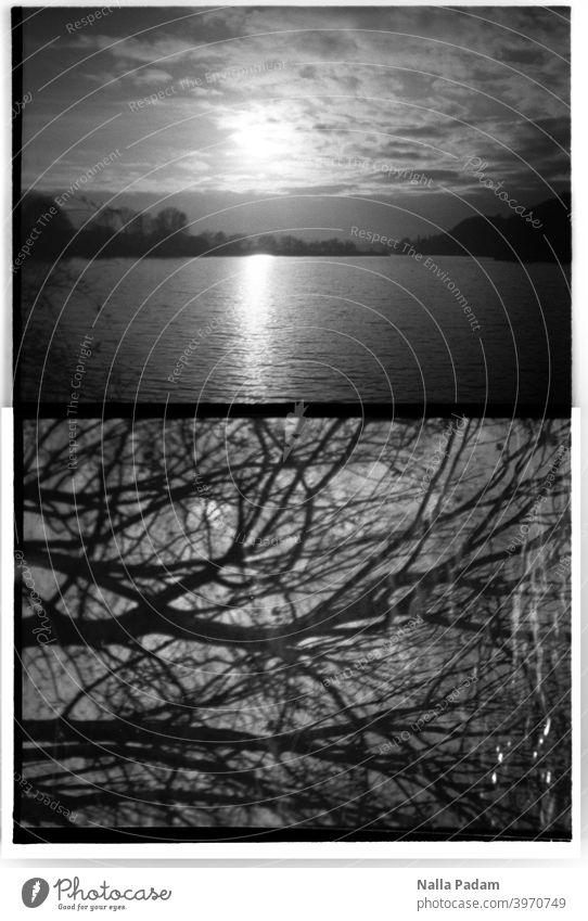 Stadtbildduett 3 analog Analogfoto schwarzweiß Halbformat Diana Mini Wasser Kemnader Stausee Sonne Sonnenuntergang Himmel Wolken zwei Bilder Äste Bäume