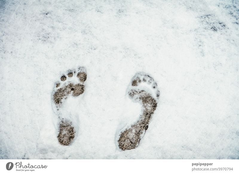 Kalte Füße – Barfuß im Schnee Füße hoch nackt barfuß laufen Barfußpfad Fuß Zehen Außenaufnahme kalte füße kalte Füße bekommen Farbfoto frieren Frost frostig