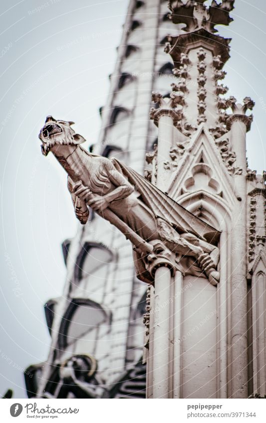 Steinfigur am Kölner Dom Kirche Kirchturm Kirchturmspitze Kirchenfenster Teufel Sehenswürdigkeit Wahrzeichen Farbfoto Außenaufnahme Religion & Glaube Bauwerk