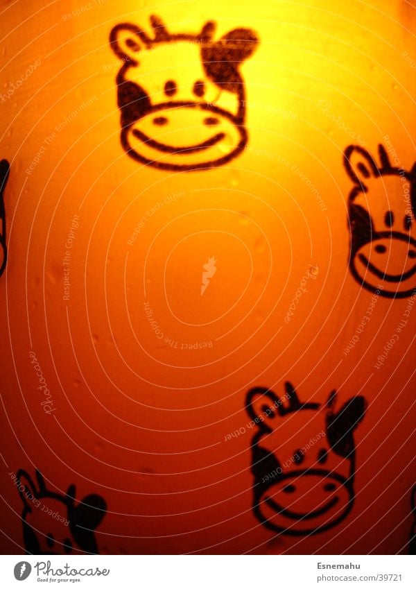 Kuh-Becher in orange Aufdruck weiß Licht durchscheinend Beleuchtung schwarz dunkel Comic Häusliches Leben Glas hell Nahaufnahme Detailaufnahme Gegenlicht