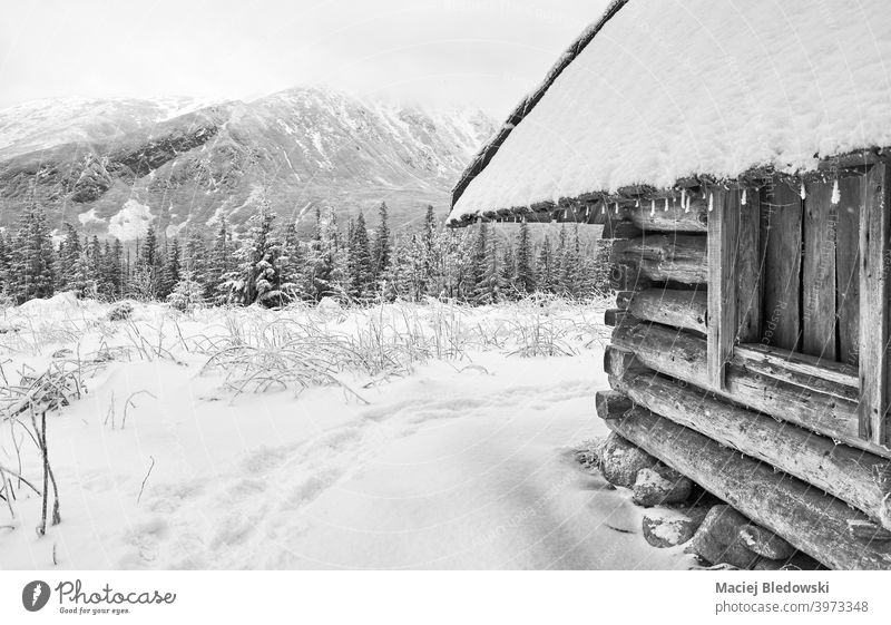 Schwarz-Weiß-Bild von Holzhütte in den Bergen während verschneiten Winter. Berge u. Gebirge Landschaft Hütte Schnee weiß schwarz Wartehäuschen Schneefall Tatra