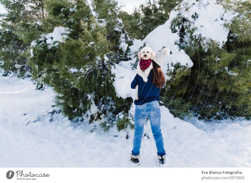 schöne Frau in verschneiten Berg hält niedlichen Pudel Hund auf der Schulter. Hund trägt kariertes Halstuch. Wintersaison. Natur und Haustiere Schnee