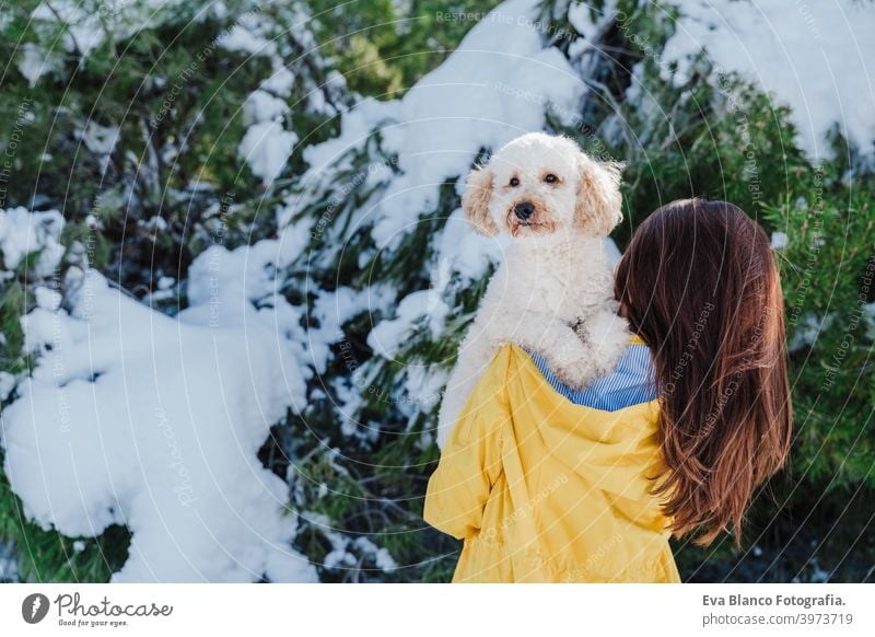 Backpacker Frau Wandern im Freien mit niedlichen Pudel Hund. Halten Hund auf der Schulter. Snowy Berg in der Wintersaison. Natur, Haustiere und Lebensstil