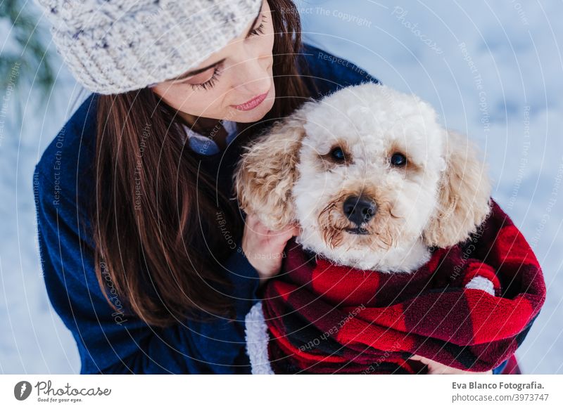 schöne Frau in verschneiten Berg Holding niedlichen Pudel Hund in den Armen in karierten Decke gewickelt. Wintersaison. Natur und Haustiere Schnee