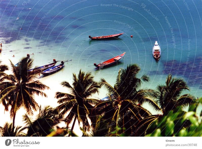 dies ist keine postkarte Thailand Meer Wasserfahrzeug Palme Physik Kokosnuss Ferne Korallen Nationalpark Schnorcheln Sonne Wärme blau Aussicht Im Wasser treiben