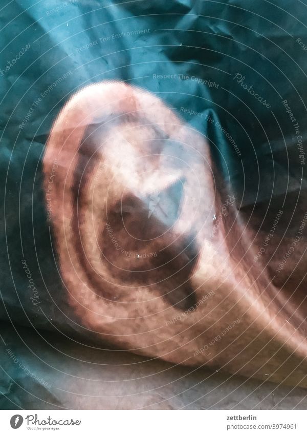 Poster mit Ohr ohr außenohr ohrläppchen gehör gehörgang wahrnehmung sinn sinnesorgan poster plakat bild abbild knick falte werbung außenwerbung portrait