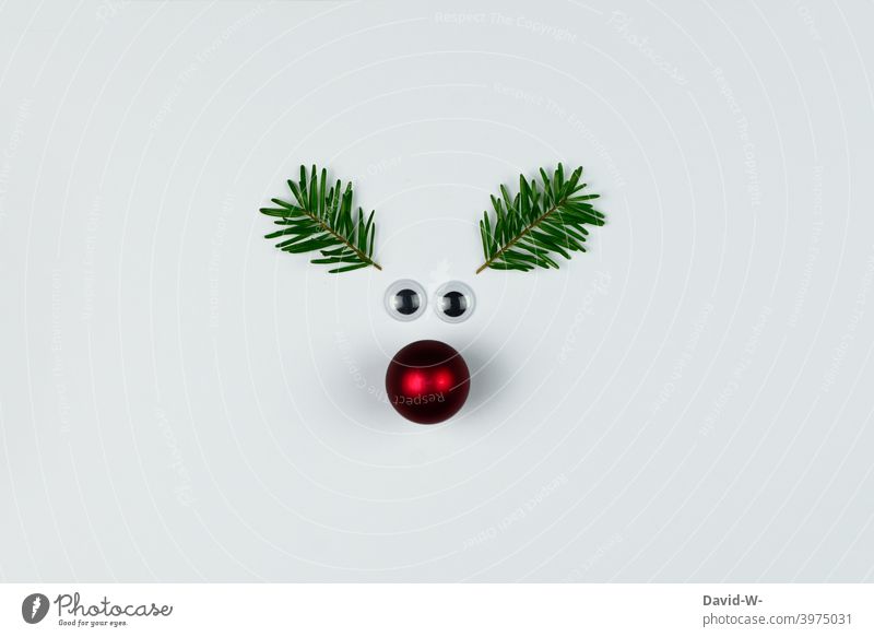 Weihnachten - lustige Weihnachtsdekoration Rudolph witzig Weihnachten & Advent niedlich Rentier weihnachtlich Weihnachtskarte weihnachtsgrüße Dekoration Spaß