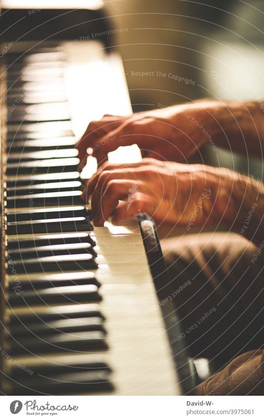 flinke Finger am Klavier übung spielen Musik Musiker Schnelligkeit Geschick ehrgeizig Musikinstrument musizieren Hände