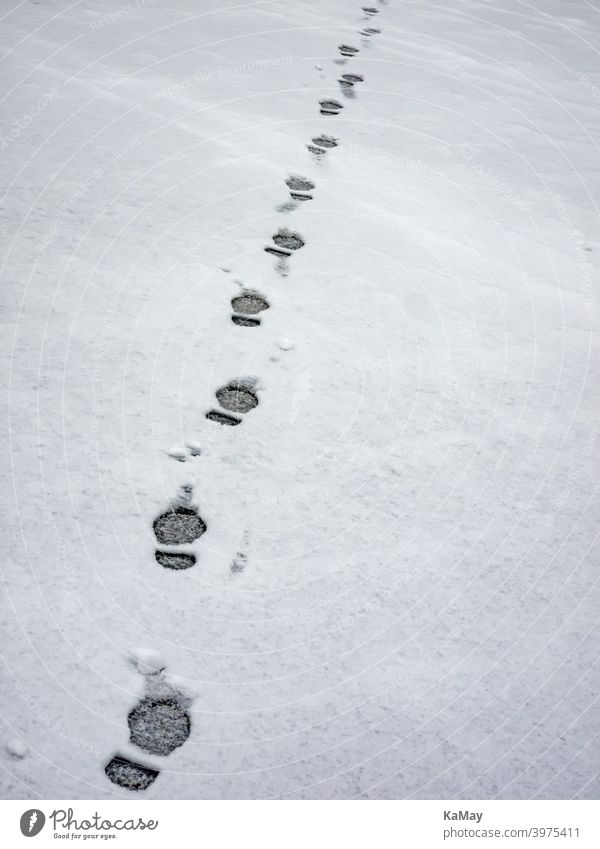 Fußspuren eines Menschen im Schnee Spuren Schritte Abdruck wandern allein weiß kalt Frost Winter Weite gefroren Eis leer Weg Füße Jahreszeit niemand vertikal