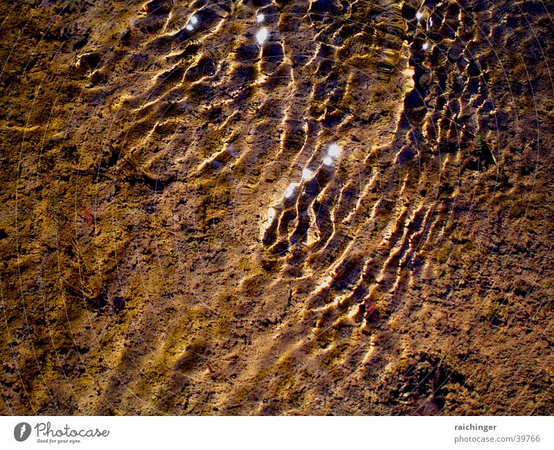 Wasserhaut Bach Licht glänzend Flüssigkeit Fluss Reflexion & Spiegelung Sonne kräuseln gold