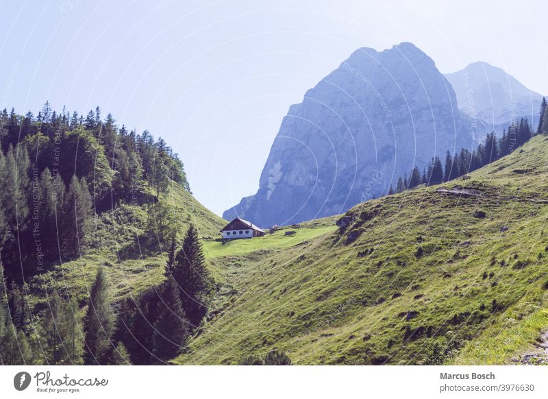Almhuette in den Bergen Almen Alpen Berchtesgaden Berglandschaft Gebirgslandschaft Halsalm Sommer Wald