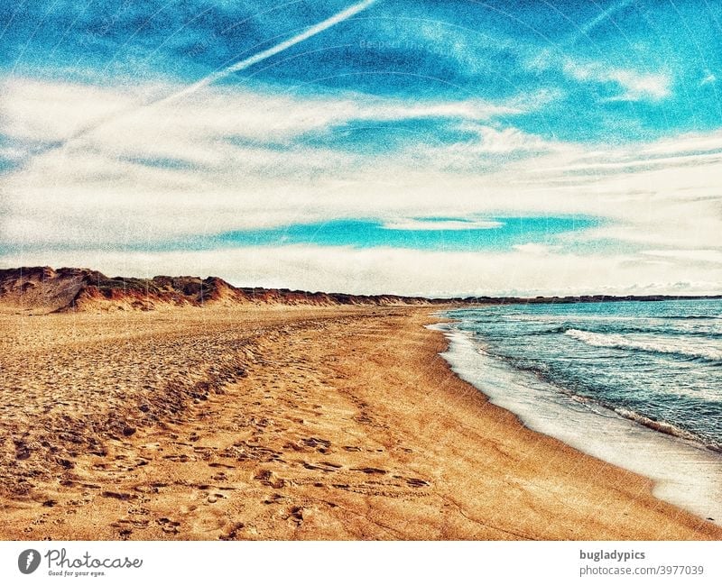 Tag am Meer Strand Stranddüne Strandspaziergang Ozean Wellen Wellengang Küste Wasser Sand Himmel Blauer Himmel Wolken Kondensstreifen Dünen Nordsee Ostsee Insel