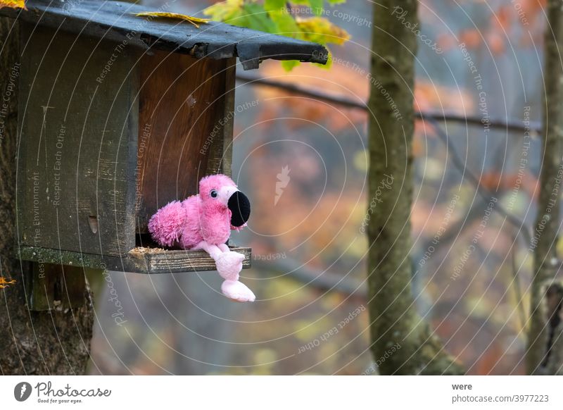 Plüschtier Flamingo sitzt in Vogelfutterhaus im Wald Fälschung gefüllt Ausländer Tier Tierwelt Textfreiraum Stofftiere falsch Fehlplatzierung niemand rosa