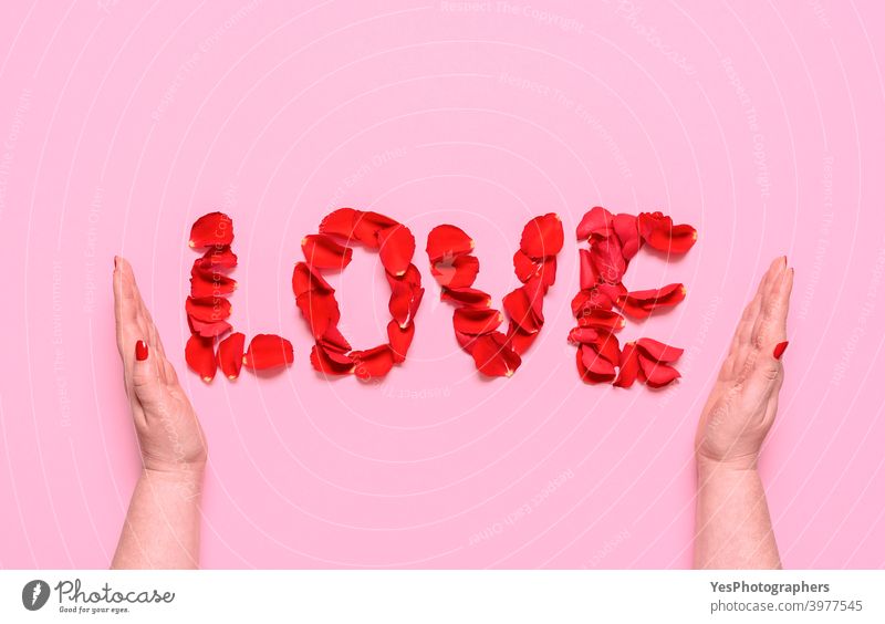 Liebe Wort mit Rosenblättern Buchstaben. Hände umarmen Liebe Text. Valentinstag Konzept obere Ansicht Jahrestag Ordnung Blüte Pflege Feier kreatives Layout