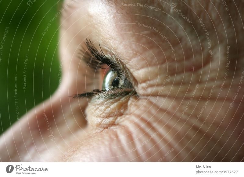 Falten ums Auge Frau Wimpern Blick Iris Regenbogenhaut Sinnesorgane Detailaufnahme weitsichtig kurzsichtig Augenfarbe Makro Augenlid Sehvermögen optisch
