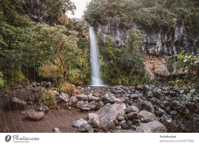#AS# Dawson Falls II Wasserfall Baum Natur Naturschutzgebiet Abenteuer Landschaft Außenaufnahme Menschenleer Zentralperspektive versteckt Neuseeland