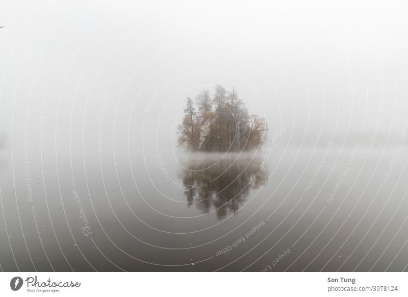 Herbst See Nebel Baum allein einsam romantisch Minimalismus