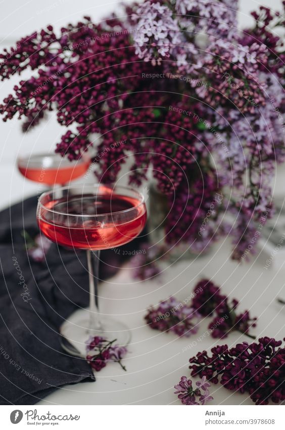Cocktail mit Flieder Bar Lifestyle Fliederbusch einrichten Stillleben Getränk Glas Alkohol Feste & Feiern Party Innenaufnahme trinken