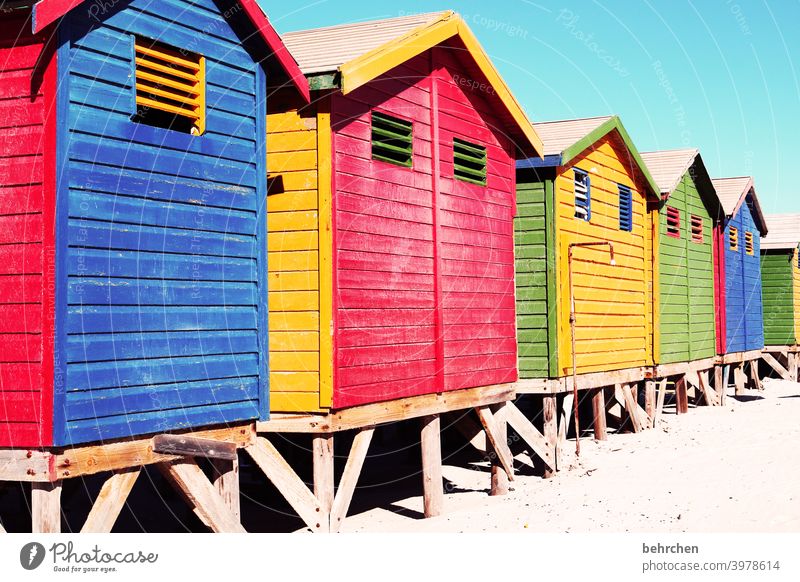 rotblaugelbrotgrüngelbgrünrotblaugrün berühmt Kunst Architektur Holzhaus bunt Badehäuschen Muizenberg Beach Sonnenlicht Kontrast Schatten Licht Farbfoto