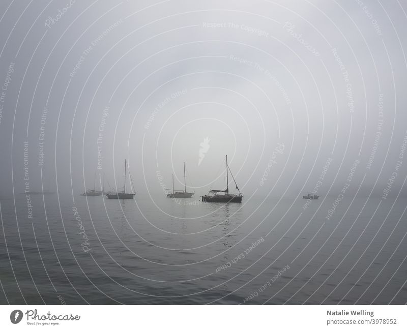 Geisterhafte Segelboote im Nebel MEER Wasser Boote Wasserlandschaft Natur Masten minimalistisch Seeküste Meer Bucht Wasserfahrzeug Wolken Meereslandschaft
