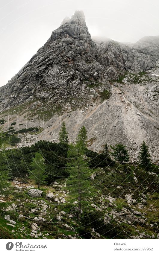 Kleine Reibn Ferien & Urlaub & Reisen Tourismus Ausflug Abenteuer Berge u. Gebirge wandern Umwelt Natur Landschaft Pflanze Baum Hügel Felsen Alpen Gipfel