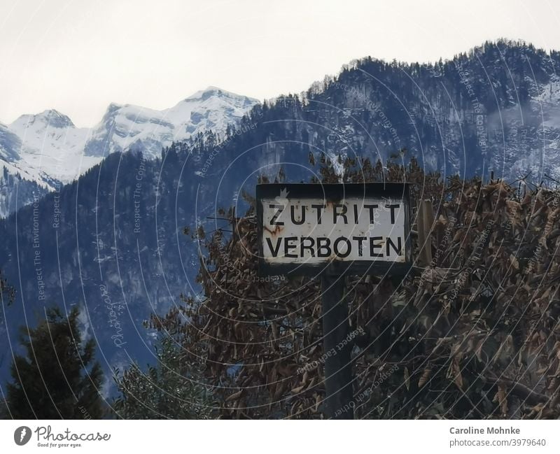 Schild "ZUTRITT VERBOTEN", im Hintergrund eine verdorrte Hecke und Schneeberge Zutritt veboten Eingang Schilder & Markierungen Warnhinweis Menschenleer Warnung