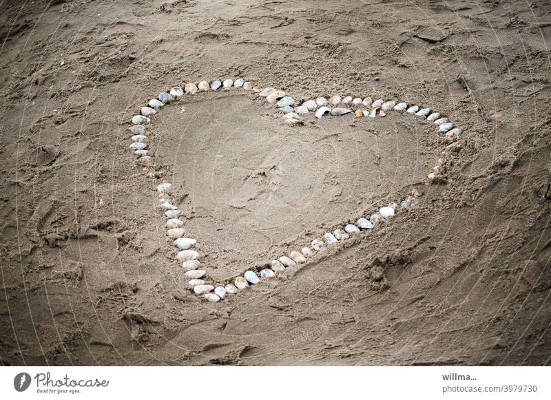 Ein Huschelmerz aus Merzhuscheln.  :-) Herz Muscheln Strand Symbol Valentinstag Romantik Verliebtheit Liebe Muttertag Sand herzförmig herzlich Liebeserklärung
