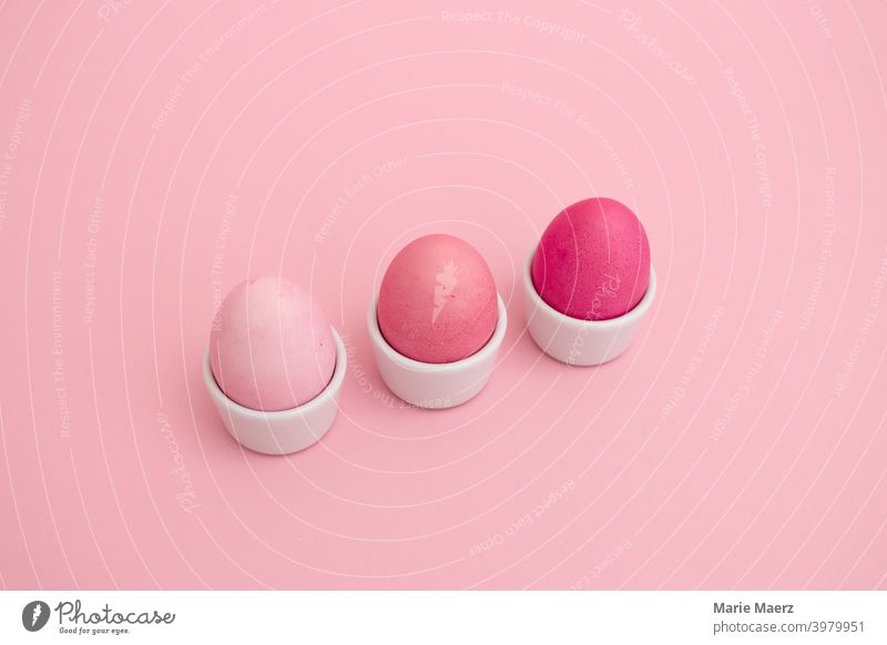 Bemalte Eier in leuchtenden Rosatönen in einer Eierbecherreihe Frühstück Nahaufnahme Farbe farbig farbenfroh Konzept niedlich Design anders gefärbt Ostern
