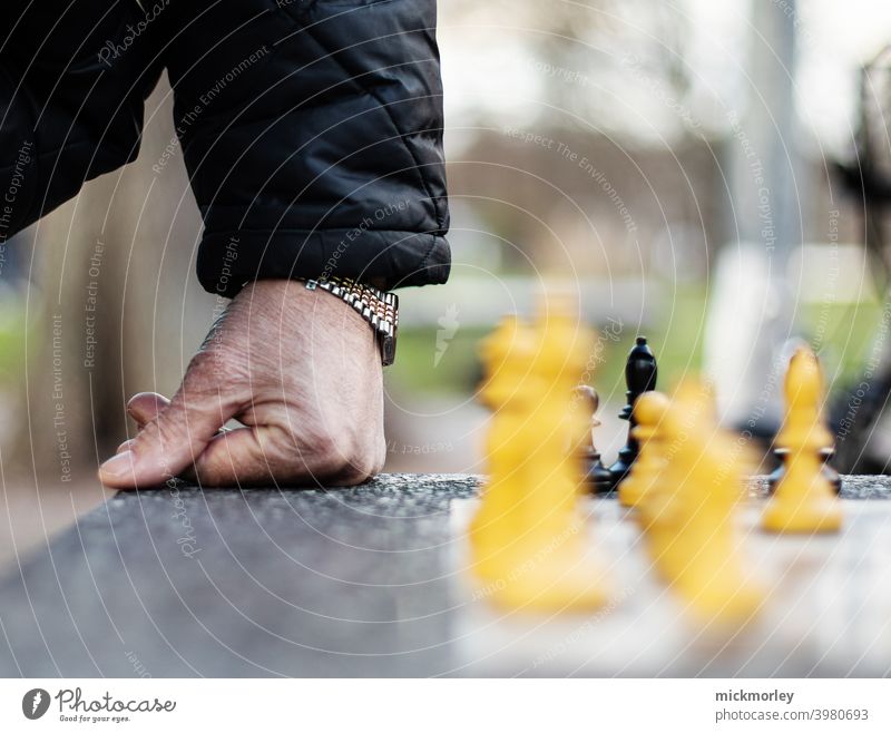 Das Spiel der Könige und Königinnen Schach Schachbrett Spielen Turm Läufer Schlacht Strategie Verstand Konkurrenz strategisch Denken denkend denken an ...