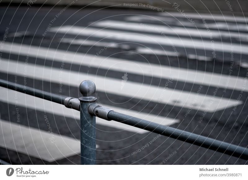 Geländer an der Straße nahe einem Zebrastreifen Schutz Außenaufnahme Metall Menschenleer Strukturen & Formen Übergang Straßenverkehr