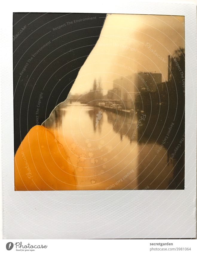 Ungekünstelte friedliche Unperfektion. Polaroid Stil Vergänglichkeit vergänglich Fluss Hamburg Flickenteppich herbstlich Herbst Natur Pflanze Außenaufnahme