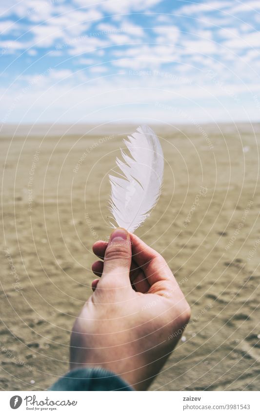 Junge Finger halten eine weiße Feder eines Vogels träumen Harmonie Stimmung Wellness Inspiration Einsamkeit Zärtlichkeit Ehrfurcht Glaube Hoffnung Moment