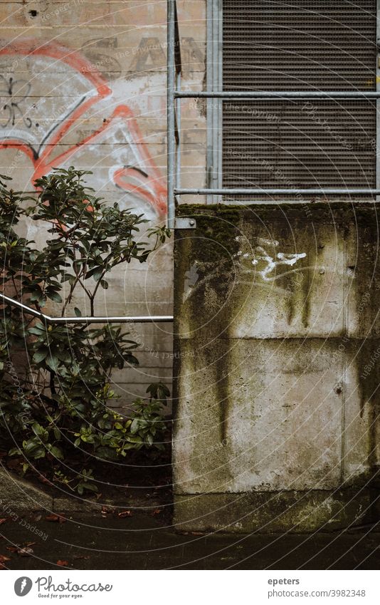 Urbane Scene, moosbewachsene Wand und Graffiti urban dreckig schmutzig graffiti grün grau trist stadt hamburg eimsbüttel deutschland metall alt ungepflegt