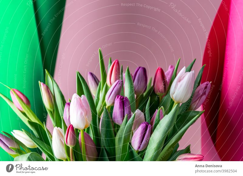Bunter klassischer Tulpenstrauß Tag Haufen Blume Blumenstrauß Muttertag purpur rosa Natur Frühling grün 8. März schön Farbe Blüte Postkarte Sommer rot Geschenk