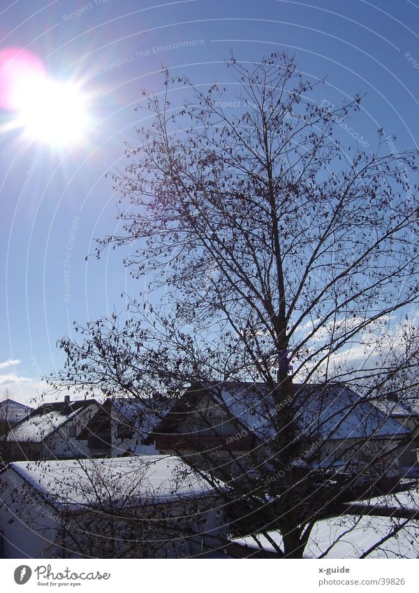 Sonnenstrahlen im Winter Farbfoto Außenaufnahme Tag Schnee Haus Himmel Baum Freundlichkeit glänzend natürlich positiv blau weiß Powder Wolken Wintertag Dorf