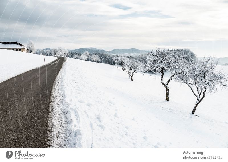 Winterlandschaft mit Straße und Bäumen Natur Schnee weiß Weg Aussicht Horizont Wald Österreich Mühlviertel Spur Umwelt Wetter Jahreszeit Himmel Wolken Blau