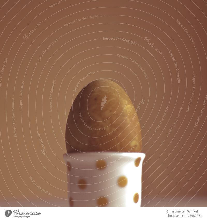 Braunes Bio-Hühnerei in einem hellen Eierbecher mit braunen Punkten. Brauner neutraler Hintergrund. Ton in Ton. Ernährung Frühstück Lebensmittel Bioprodukte