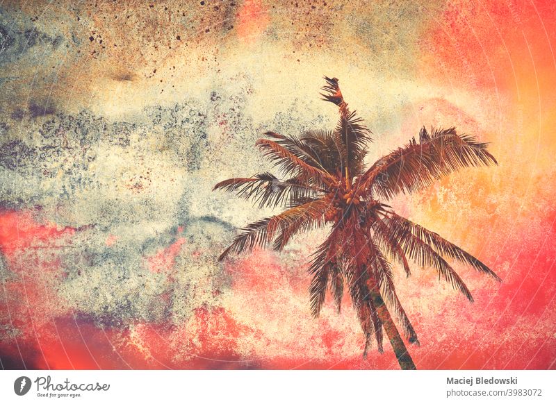 Grunge-Papier-Hintergrund mit Silhouette einer Palme bei buntem Sonnenuntergang. Handfläche Baum retro altehrwürdig Tapete Textur farbenfroh rostig Himmel